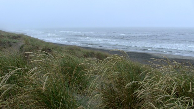 Ocean Beach, San Francisco today. 