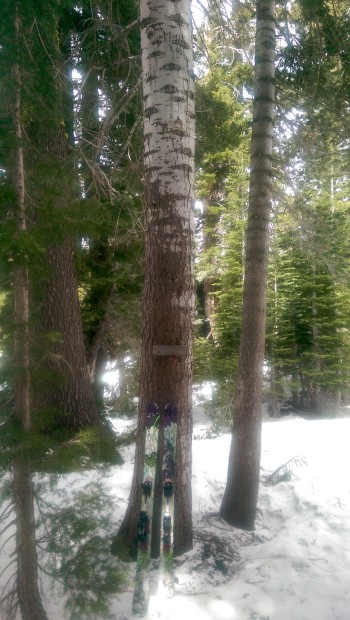 Look closely and you can see the snow line from an epic Miracle March 2010