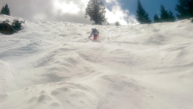 Powdery Face bumps