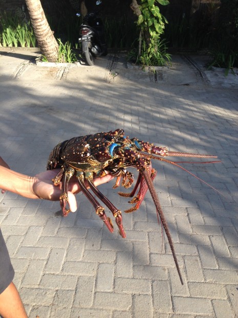 Intricate local cuisine