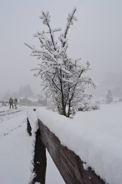 When it snows this much at the base, you know it's good up high, bariloche