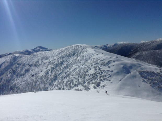 Razorback with Feathertop in the distance