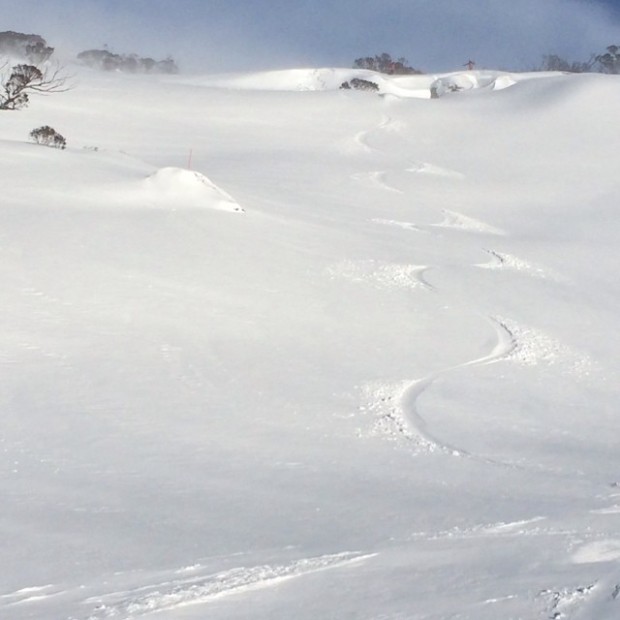 Perisher this week