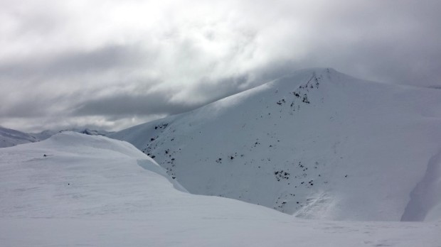 Baguales, Argentina.  August 7th, 2014.