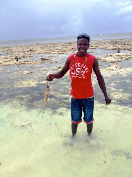 It’s all in a day’s work.. Local men spend their mornings hunting for octopus, taking advantage of low tide and the coral reef.