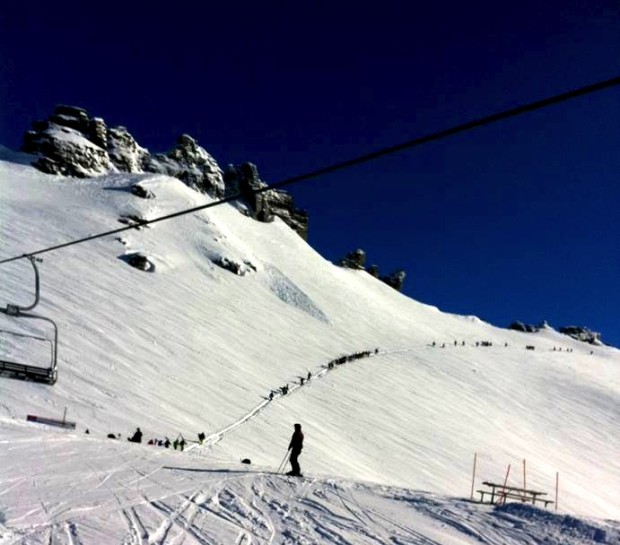 treble cone powder day