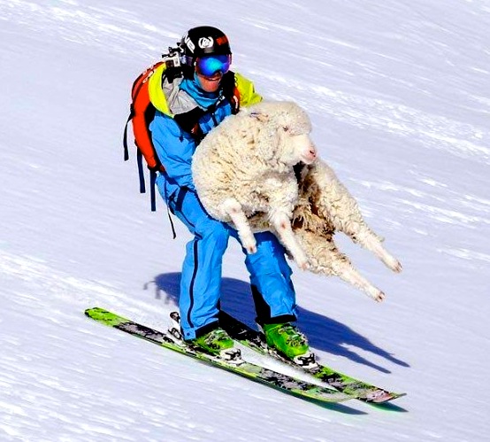 ski sacrafice