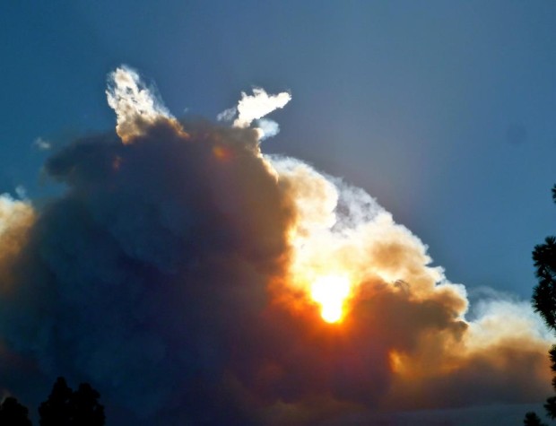 Fire Dragon.  Tahoe City, CA.  Yesterday.  photo:  tim bogardus