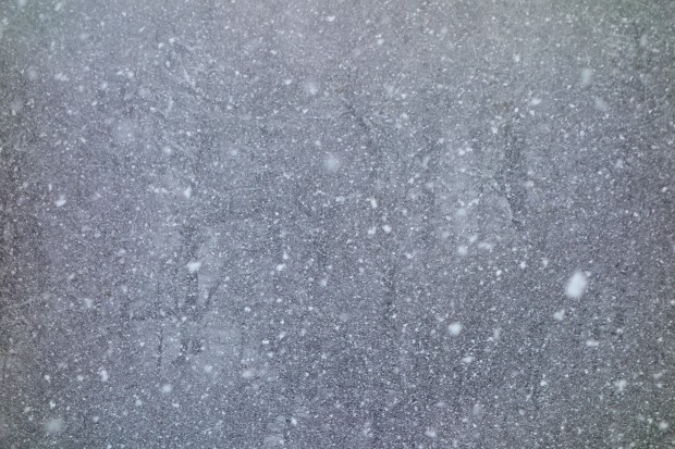 Tough to see the forest for the trees, or maybe the snow.  Nuking snow today at Catedral ski resort.  