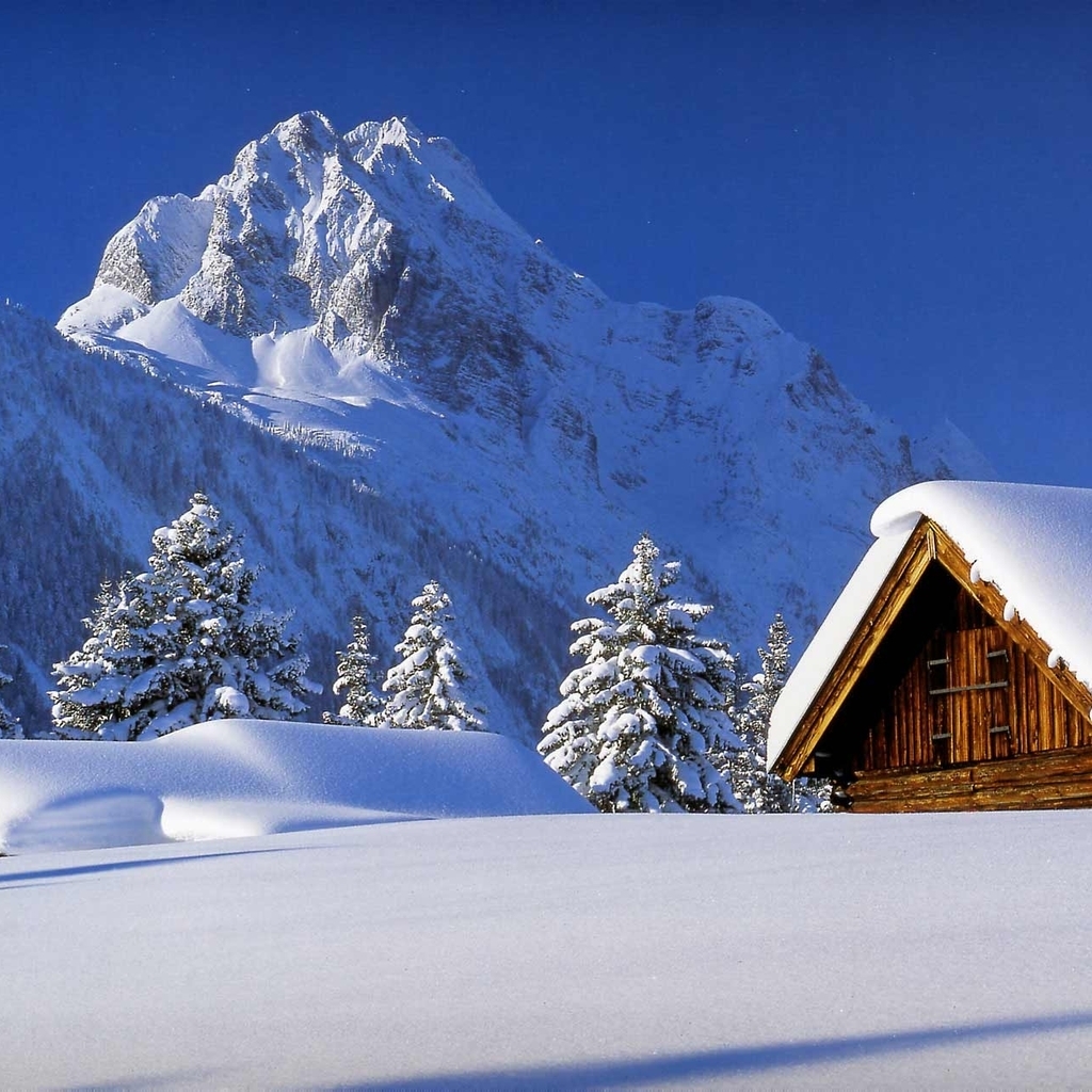 winter 2014/15