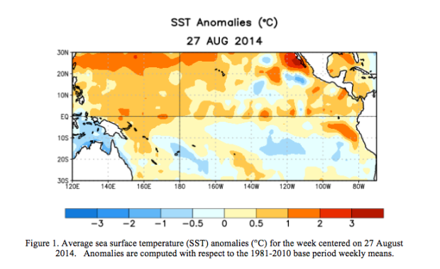el nino 2014