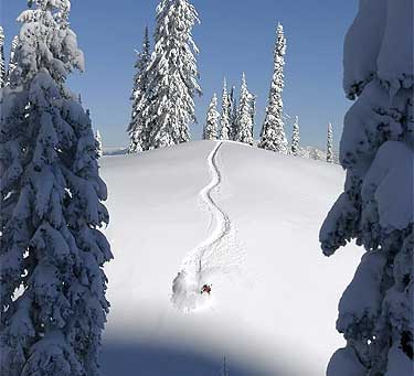 Park City, UT powder