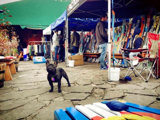 The Local's Pro Sale