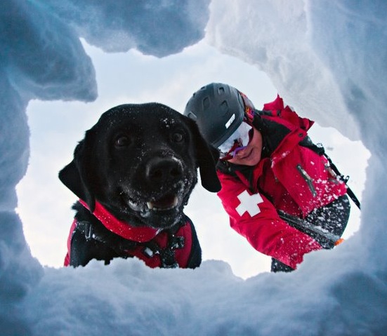 This is what you want to see if you're ever in an avalanche. photo: kim kircher