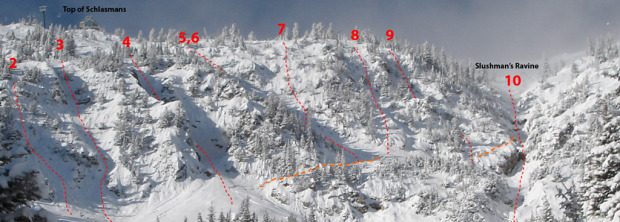 Bridger Bowl, MT has some options...