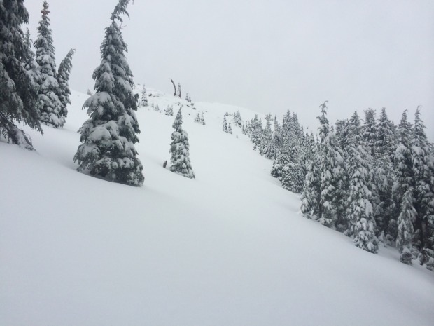 Powder at 8,400 feet