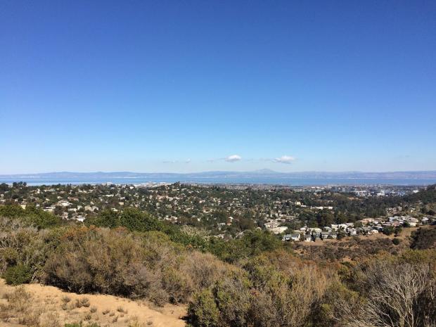 From the park you can see Oakland, Oracle headquarters, and the Bay Bridge (they are hard to see in this photo).