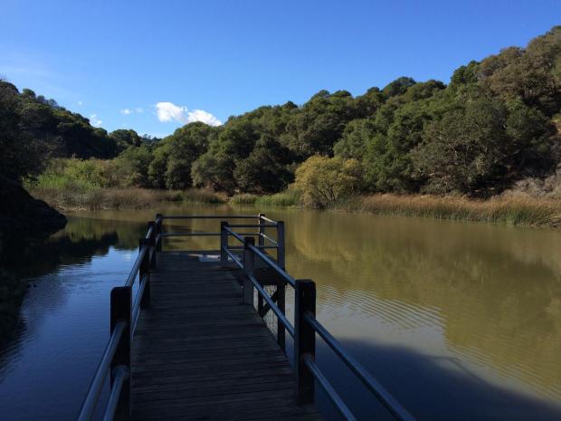 Water Dog Lake