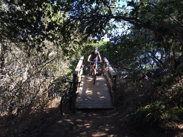 This feature is a fast wooden part of the trail to get over a pipe leading to Water Dog Lake