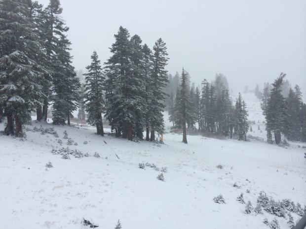 Squaw / Gold Coast on Saturday, November 29th, 2014.