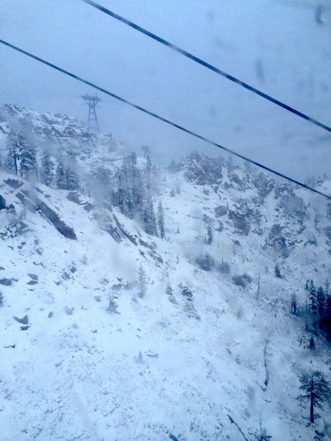 Squaw / Gold Coast on Saturday, November 29th, 2014.