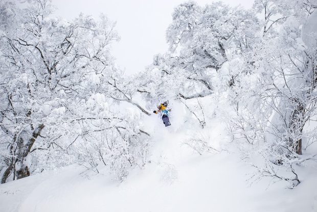 December 24th, 2014.  Nozawa Onsen, Japan.  photo:  Powdermania