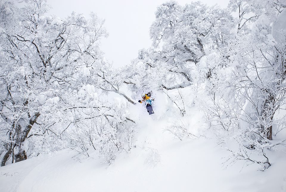December 24th, 2014. Nozawa Onsen, Japan. photo: Powdermania