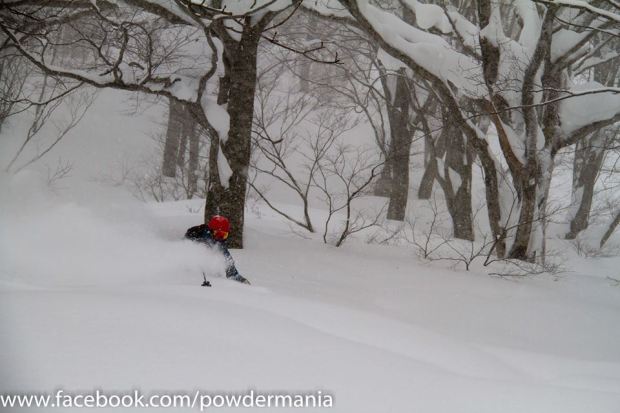 Christmas.  Hakuba, Japan.  2014.  photo:  Powdermania
