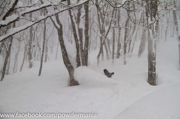 Christmas.  Hakuba, Japan.  2014.  photo:  Powdermania