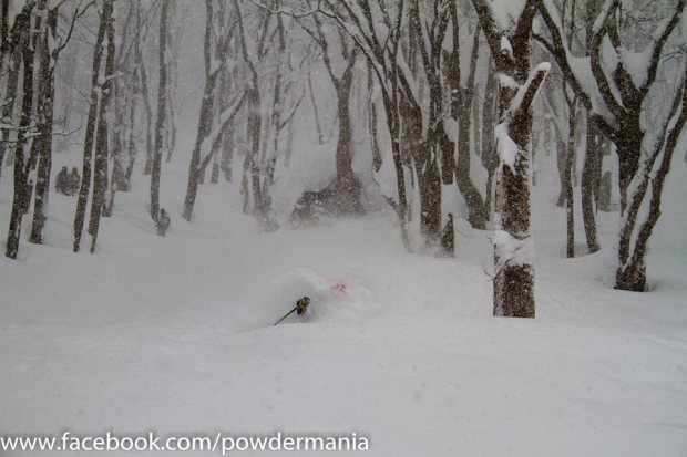 Christmas.  Hakuba, Japan.  2014.  photo:  Powdermania
