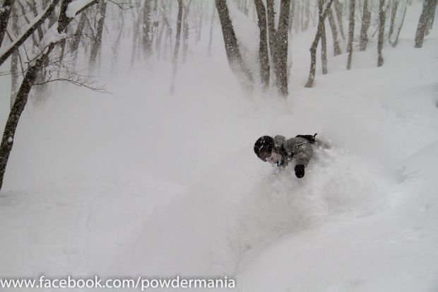 Christmas.  Hakuba, Japan.  2014.  photo:  Powdermania