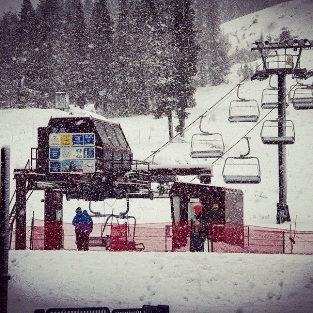 boreal yesterday