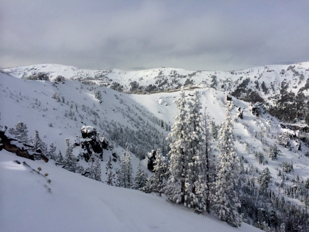 Good coverage in the Mt. Rose area