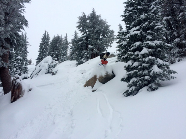 Mt Rose Features