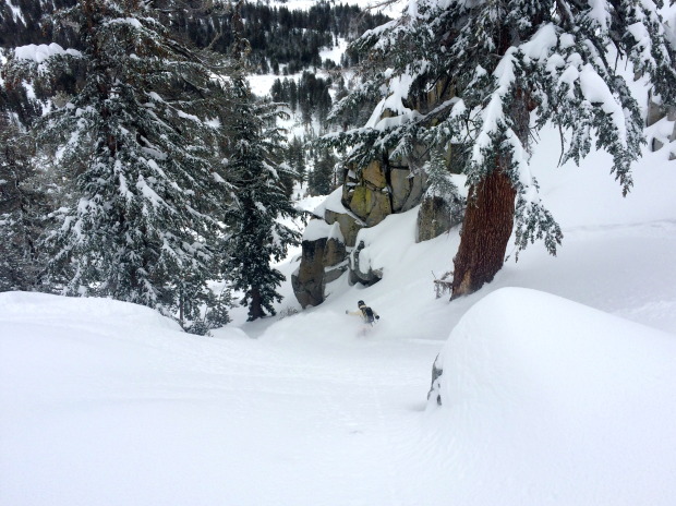 Sasha slashing pow in the Mt. Rose backcountry