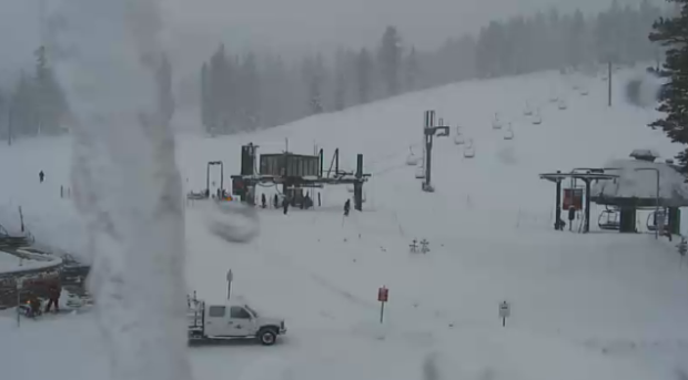 Kirkwood toady at 8am