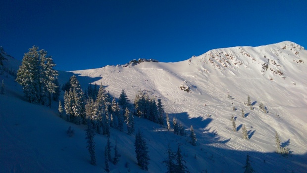 Plenty of fresh in Wolverine Bowl