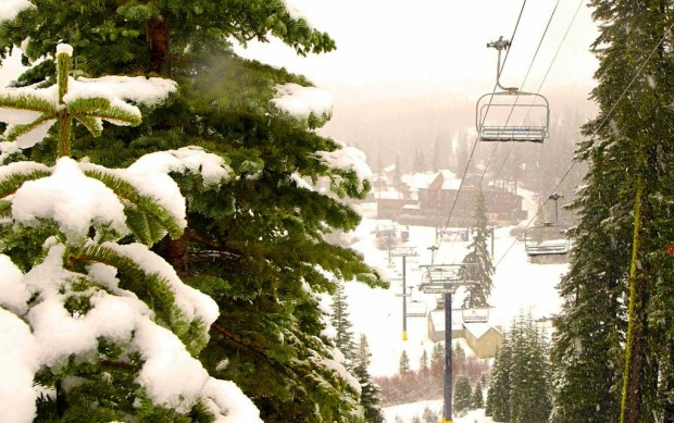 Sugar Bowl yesterday