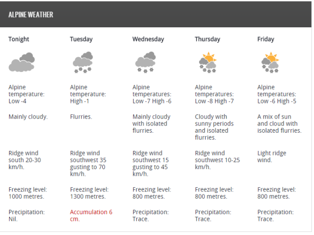 forecast