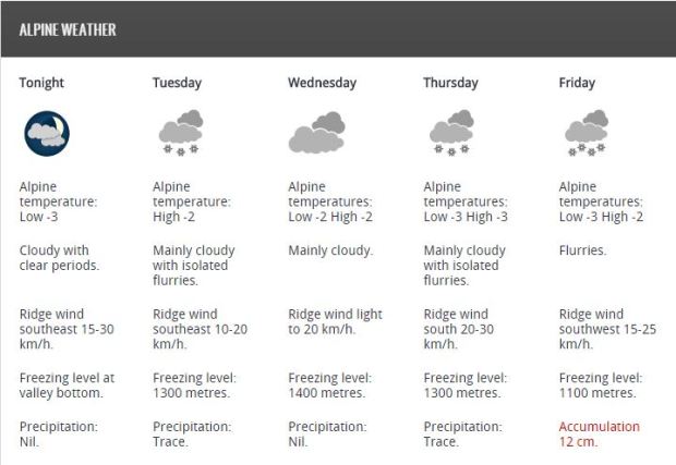 forecast