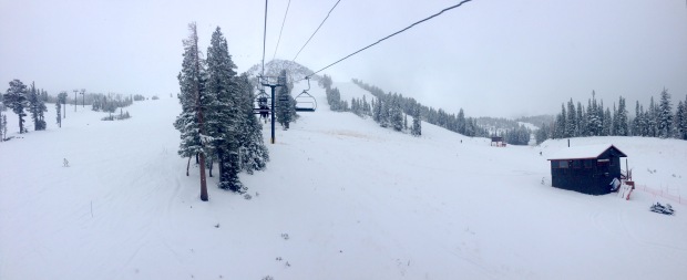 Mammoth this week.