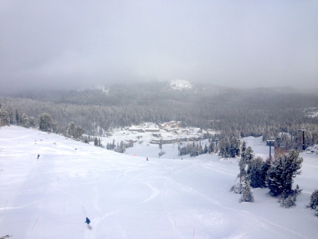 Mammoth this week.