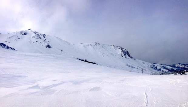 Mammoth this week.