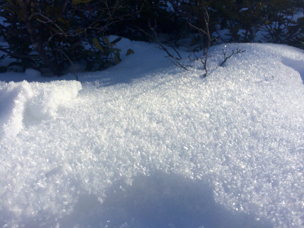 Surface hoar on the west shore