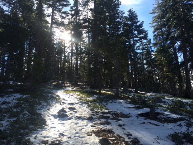 Low tide below 7,500 feet