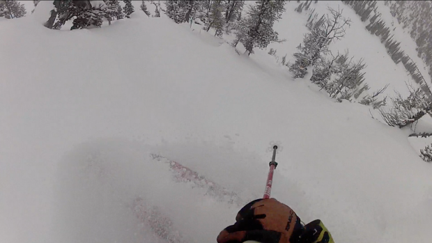 Hairy trees and blower snow.