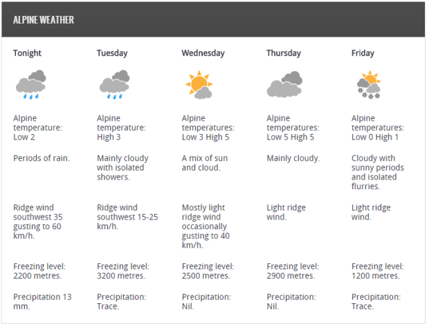 forecast