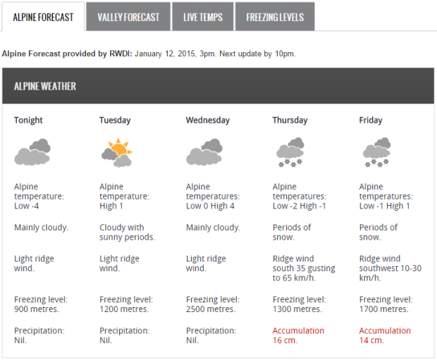 forecast