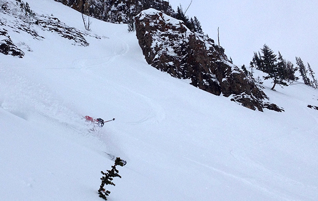 Yes, there was powder today at Jackson hole