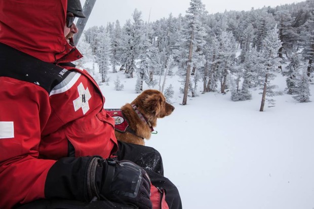 Heavenly today.  photo:  heavenly